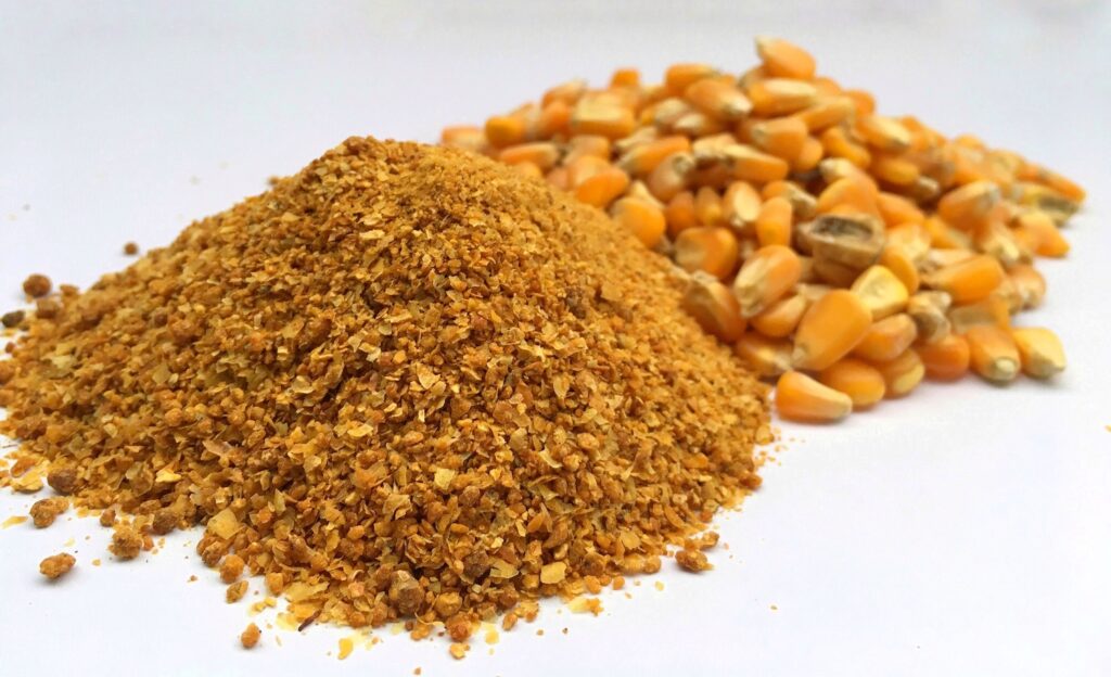 Corn DDGS - Maize distillers dried grains for animal feed India
